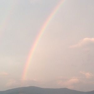 Meet your Posher, Marly